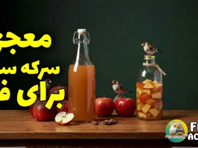 سرکه سیب برای پرندگان و فنچ‌ها؛ فواید، روش مصرف و نکات مهم